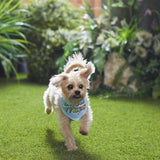 Bandana Good Vibes Only Frisco