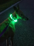 Collar de seguridad LED Nocturno Nite Ize