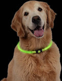 Collar de seguridad LED Nocturno Nite Ize