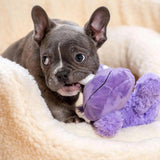 KONG Cozie Frank KONG