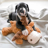 KONG Cozie Marvin KONG