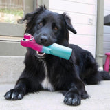 Kong Wiggi Goofz KONG