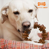 PowerChew Ring Nylabone