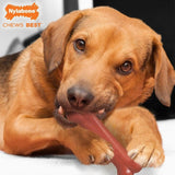 PowerChew Tocino Nylabone