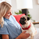 MilkBone Original Galleta Pequeña sabor carne MilkBone