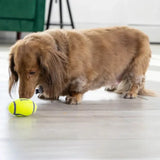 AirDog Football KONG